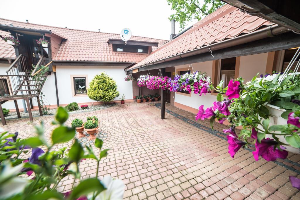 Gosciniec Czapla Panzió Dywity Kültér fotó